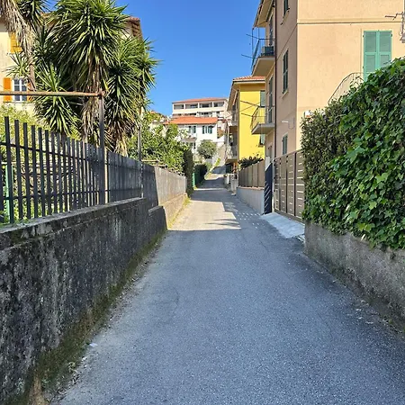 La Camelia
